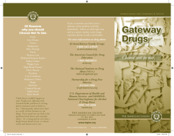 Gateway Drugs brochure
