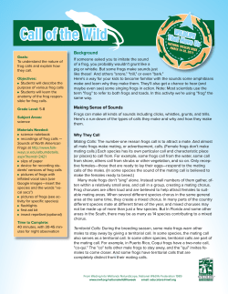 Call of the Wild - National Wildlife Federation