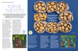 Best potato varieties for containers
