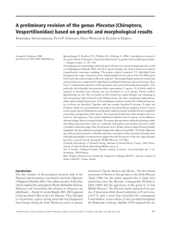 A preliminary revision of the genus Plecotus