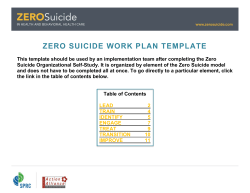 ZERO SUICIDE WORK PLAN TEMPLATE