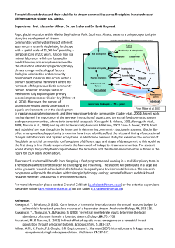 The influence of terrestrial subsidies in community development and
