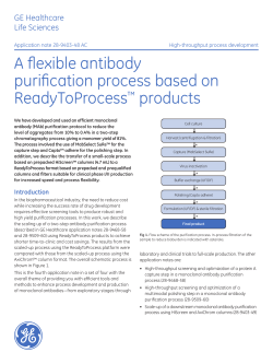 A flexible antibody purification process based on ReadyToProcess