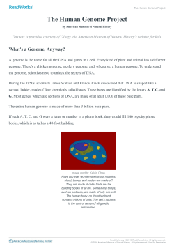 The Human Genome Project