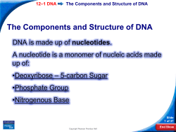 The Components and Structure of DNA