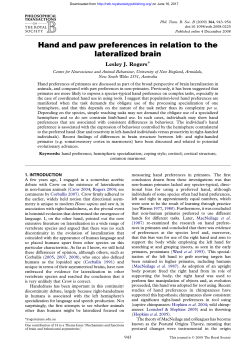 Hand and paw preferences in relation to the lateralized brain