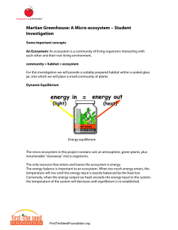 Martian Greenhouse: A Micro-ecosystem