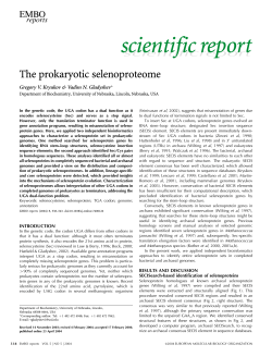 The prokaryotic selenoproteome