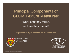 Principal Components of GLCM Texture Measures: