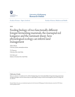 Feeding biology of two functionally different