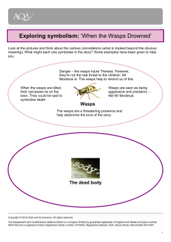Exploring symbolism: `When the Wasps Drowned`