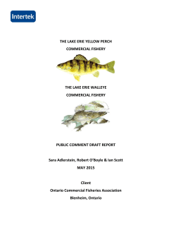 THE LAKE ERIE YELLOW PERCH COMMERCIAL FISHERY THE