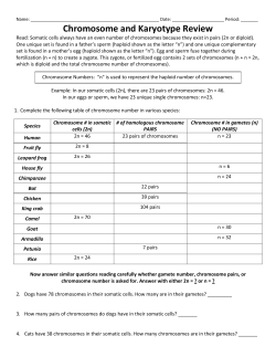 Chromosome and Karyotype Review