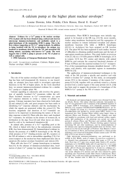 A calcium pump at the higher plant nuclear envelope?