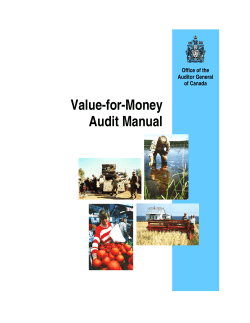 Value-for-Money Audit Manual
