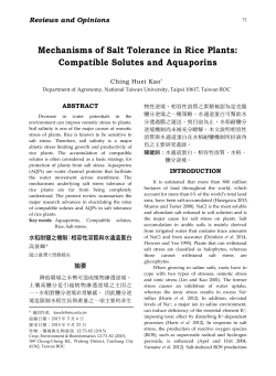 Mechanisms of Salt Tolerance in Rice Plants: Compatible Solutes