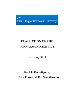 EVALUATION OF THE TURNAROUND SERVICE February 2011 Dr
