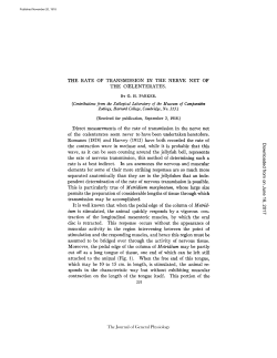 THE RATE OF TRANSMISSION IN THE NERVE NET OF THE C