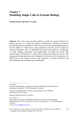 Modeling Single Cells in Systems Biology