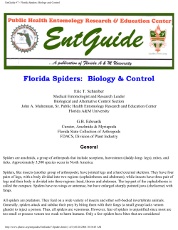 Florida Spiders: Biology and Control
