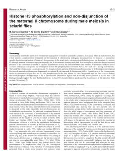 Histone H3 phosphorylation and non-disjunction of the maternal X