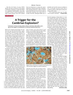 A Trigger for the Cambrian Explosion?