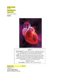 Opening the Arteries - GK-12 Program at the University of Houston