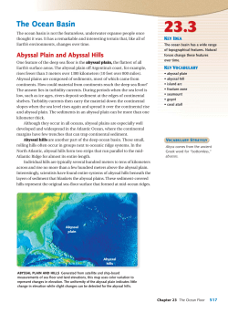 The Ocean Basin