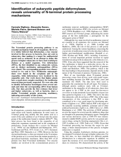 PDF - The EMBO Journal