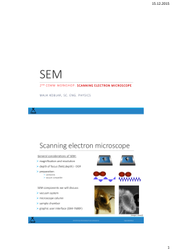 Scanning electron microscope - CEMM