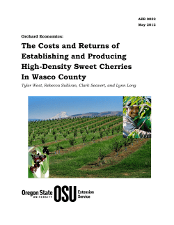 The Costs and Returns of Establishing and Producing High