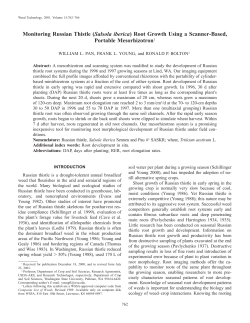 Monitoring Russian Thistle (Salsola iberica) Root Growth Using a