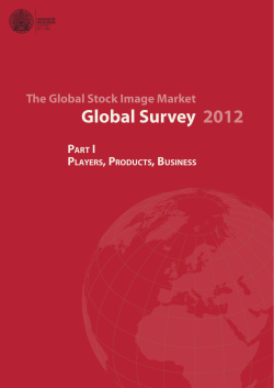 Global Survey 2012 - Stock image market workgroup