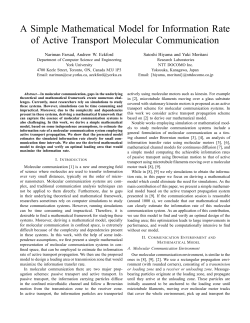 A Simple Mathematical Model for Information Rate of Active