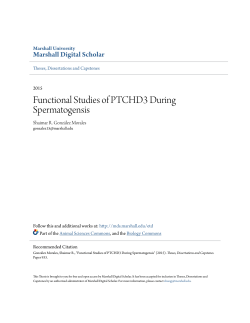 Functional Studies of PTCHD3 During Spermatogensis