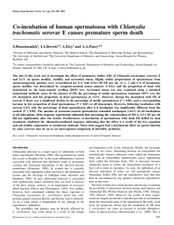 Co-incubation of human spermatozoa with Chlamydia trachomatis