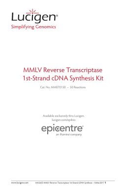 MMLV Reverse Transcriptase 1st-Strand cDNA Synthesis Kit