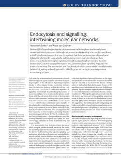 Endocytosis and signalling: intertwining molecular networks