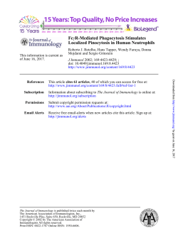 Localized Pinocytosis in Human Neutrophils R