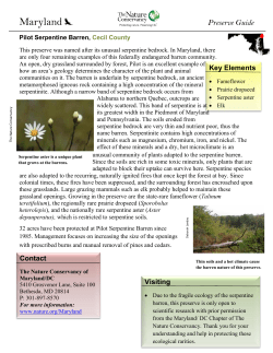 Preserve Information Guide