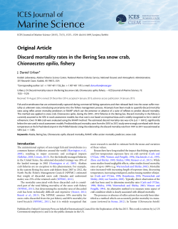 Discard mortality rates in the Bering Sea snow crab, Chionoecetes