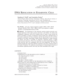 dna replication in eukaryotic cells