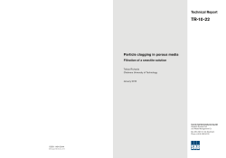 Particle clogging in porous media &ndash; Filtration of a