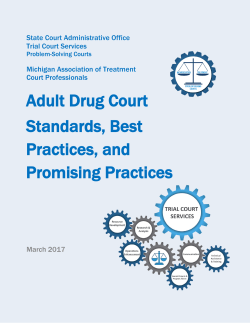 SCAO Best Practices Manual