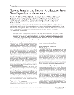 Genome Function and Nuclear Architecture: From Gene Expression