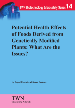 Potential Health Effects of Foods Derived from Genetically Modified