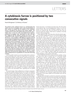 A cytokinesis furrow is positioned by two consecutive signals