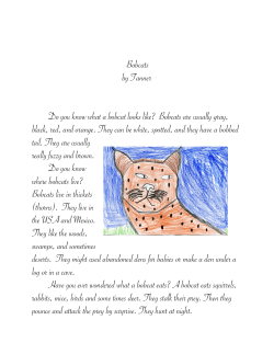 Bobcats by Tanner Do you know what a bobcat looks like? Bobcats