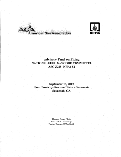 Advisory Panel on Equipment NATIONAL FUEL GAS CODE