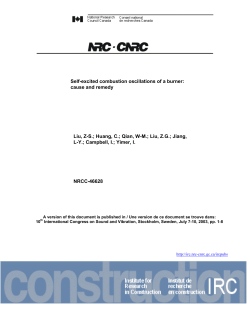 Self-excited combustion oscillations of a burner: cause